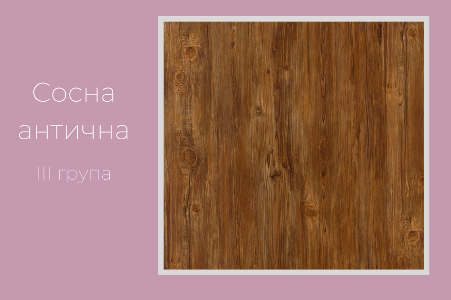 Сосна антична